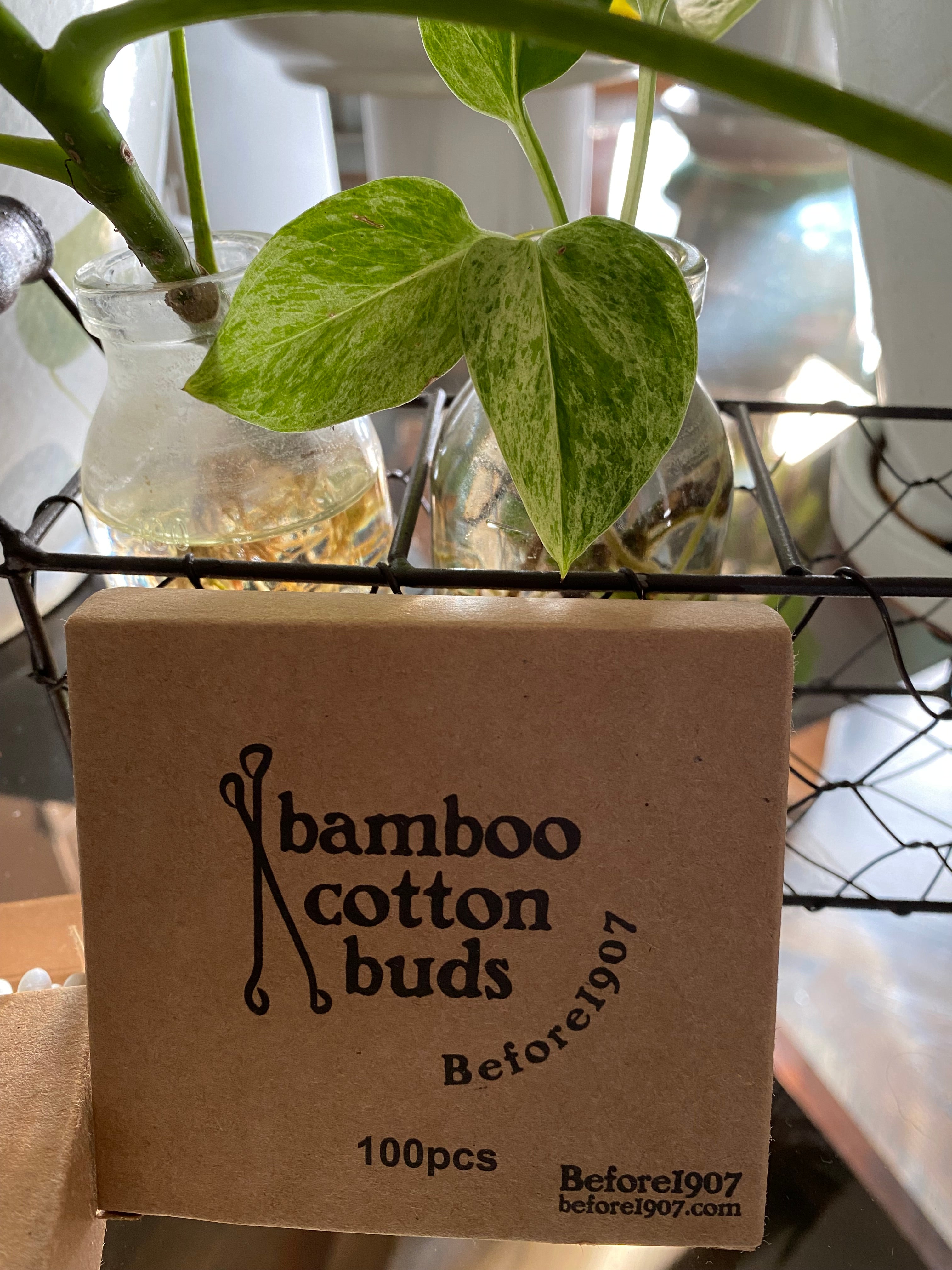 Bamboo and Cotton Buds (100 Count)
