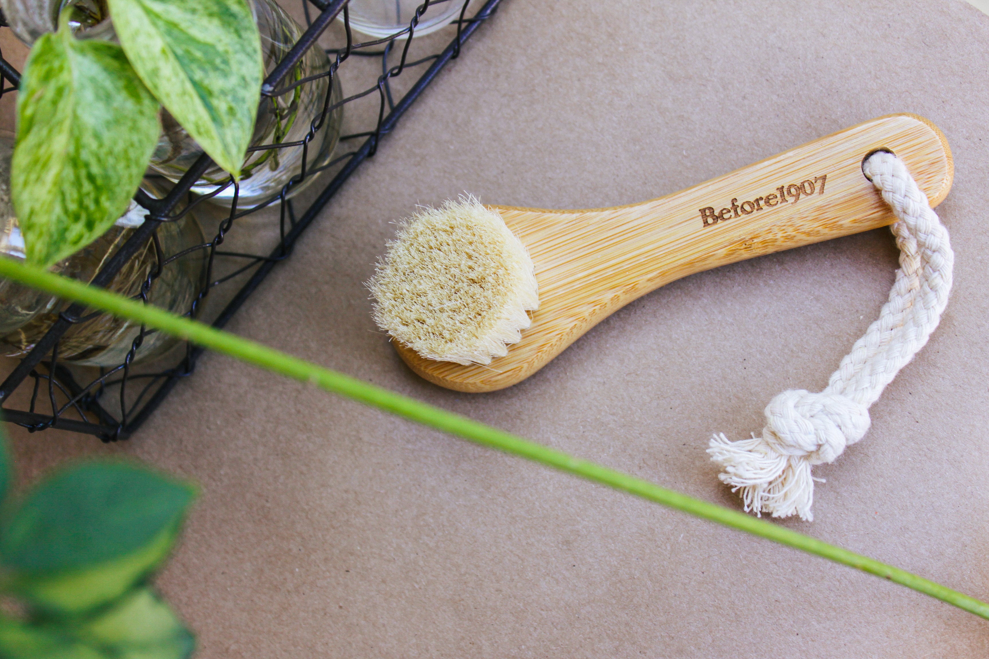 Dry-wet Face Brush