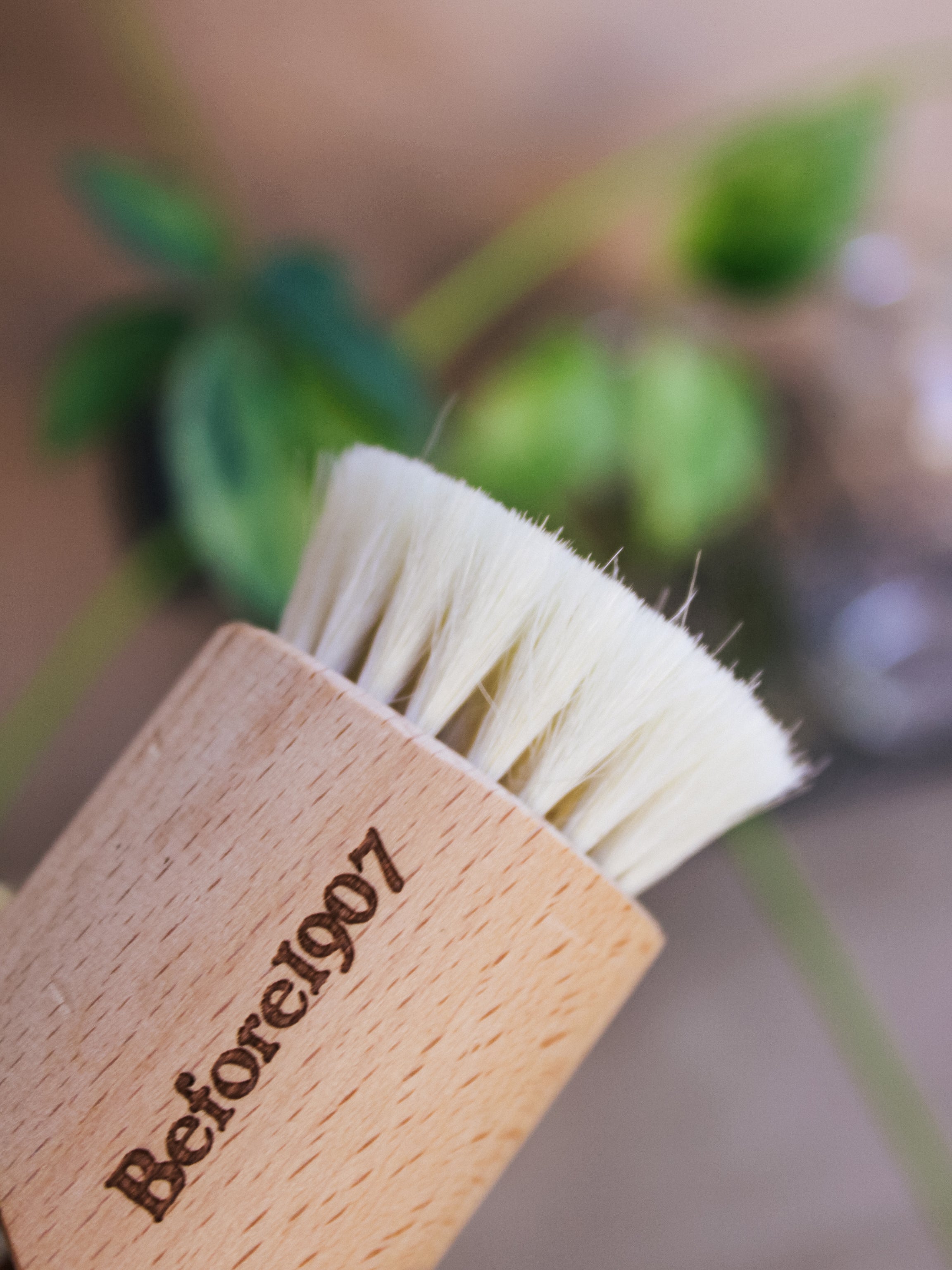 Dry-wet Face Brush