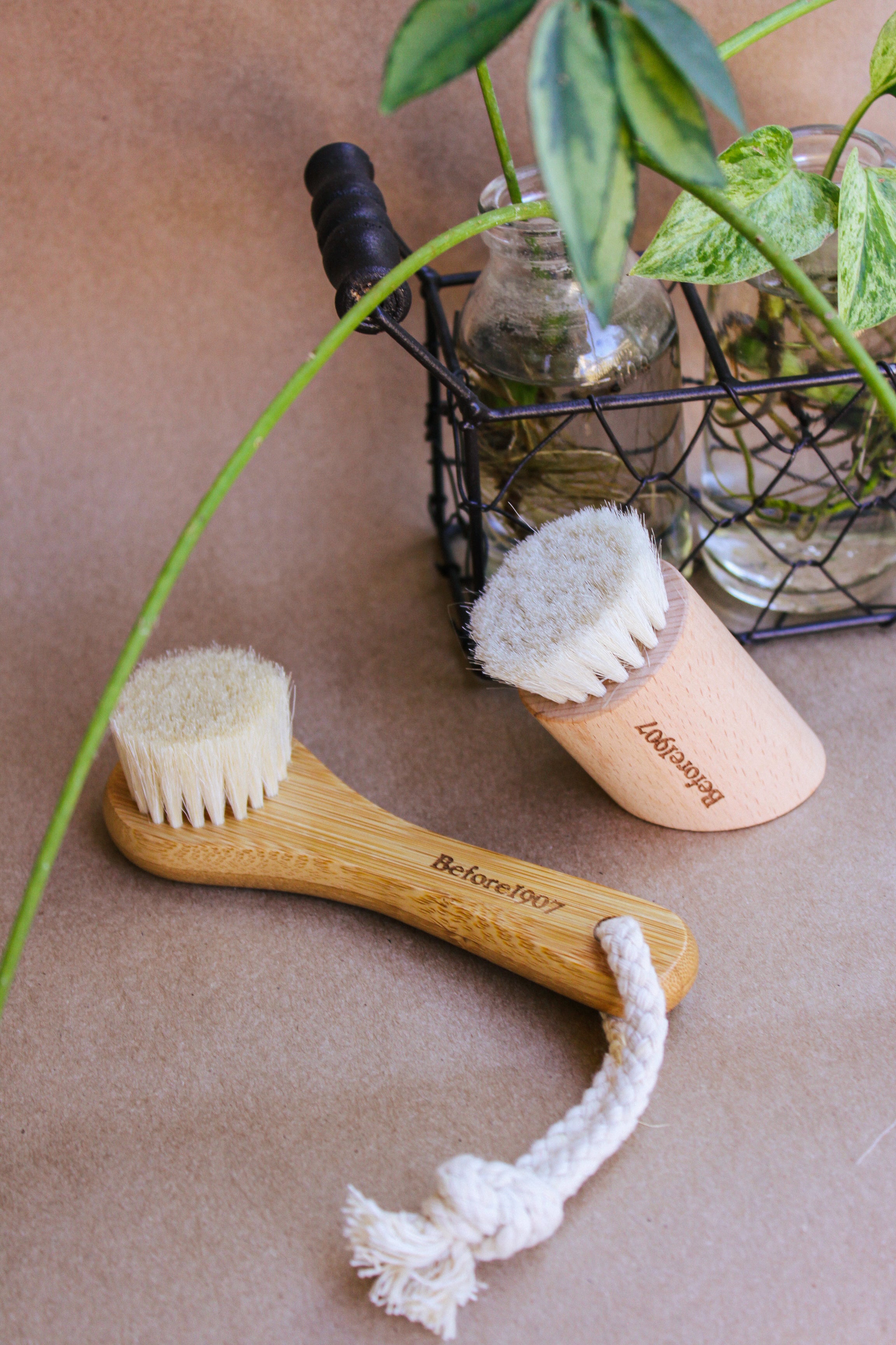 Dry-wet Face Brush