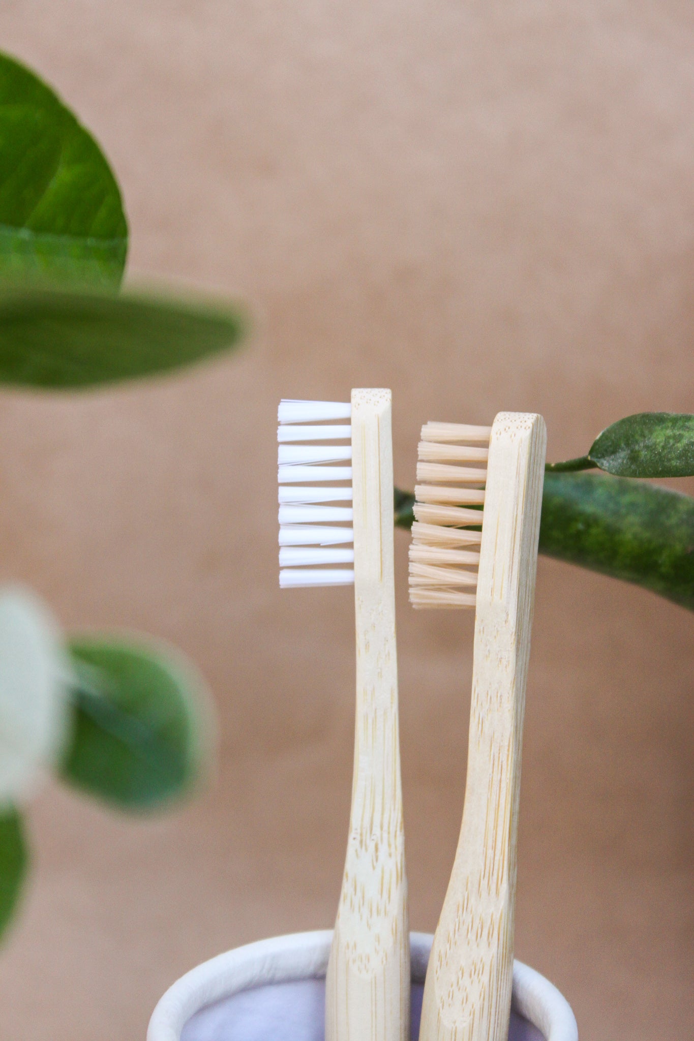 Adult Bamboo Toothbrush- Detachable Head