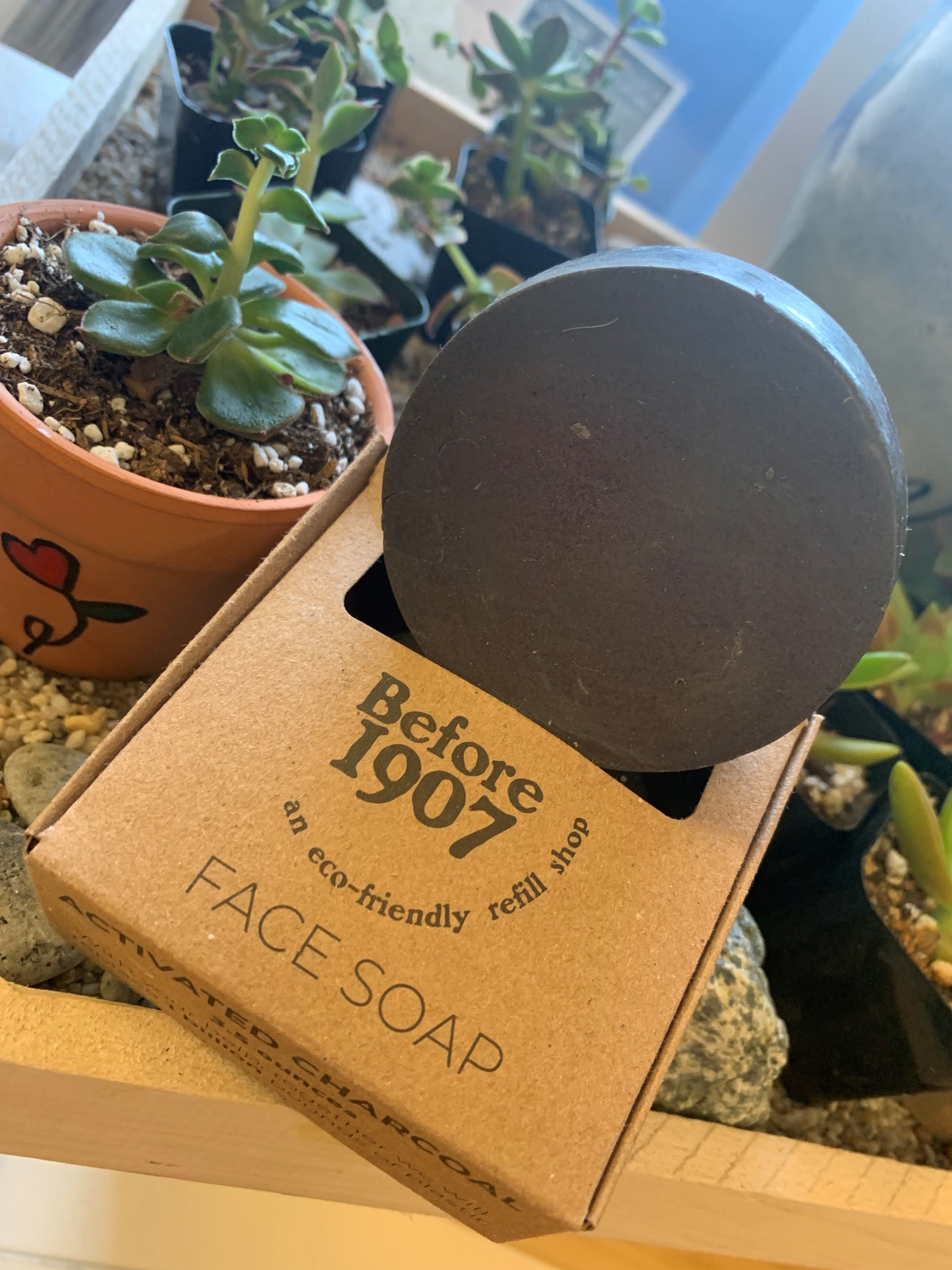 Charcoal Face Soap