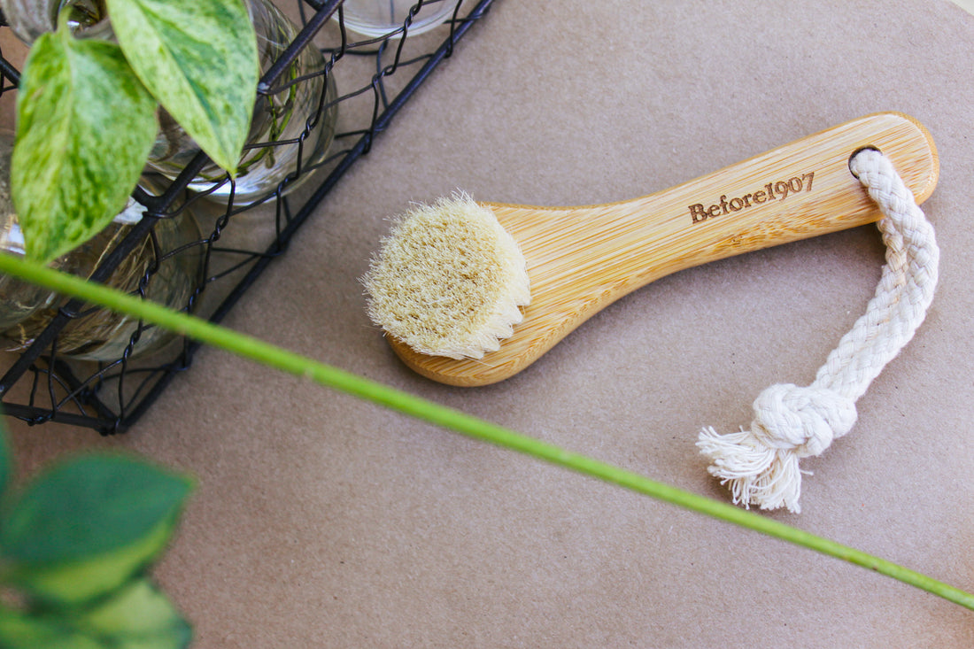 Dry-wet Face Brush