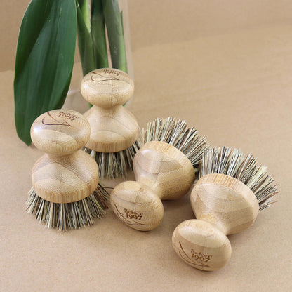 Kitchen Brushes- Pot Scrubbers