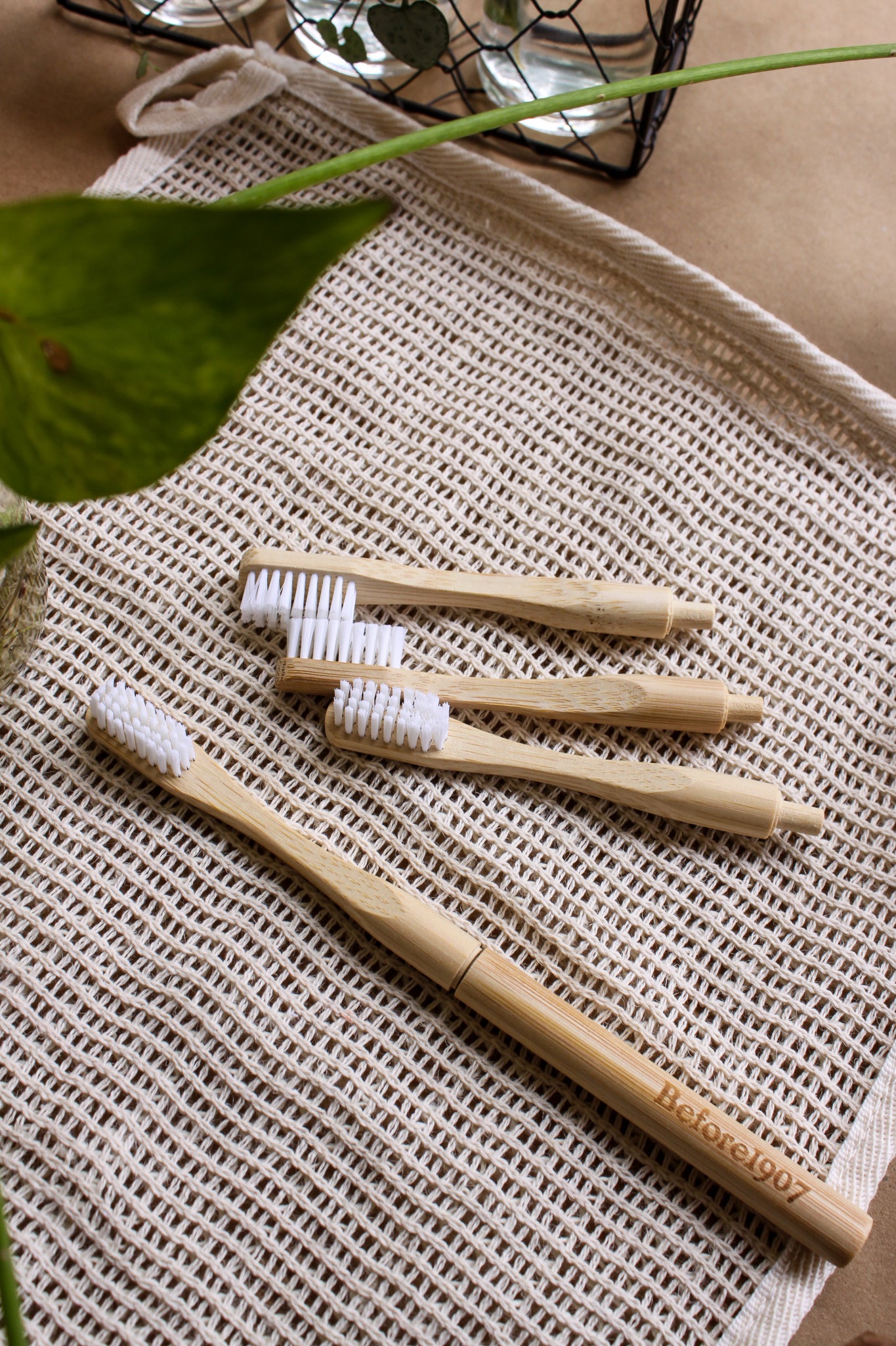 Adult Bamboo Toothbrush- Detachable Head